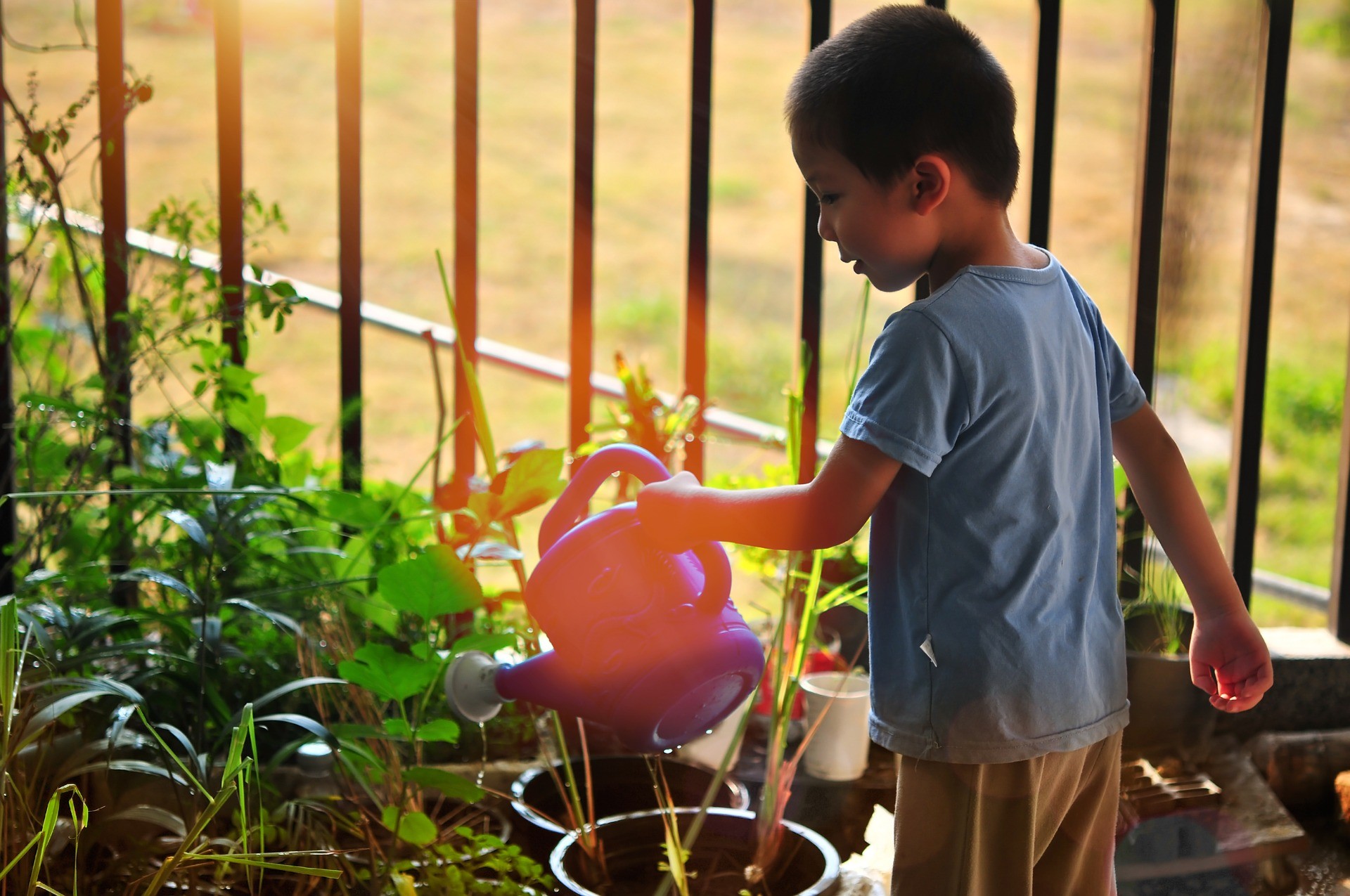 Como acercar a los niños a los cuidados del jardín y las plantas.