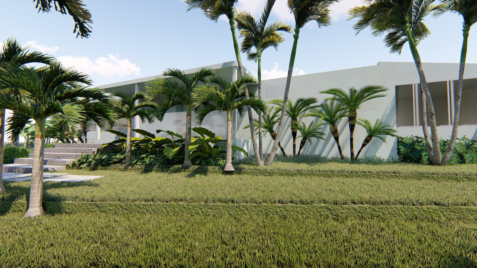Puerto Rico Projet Proyecto PR