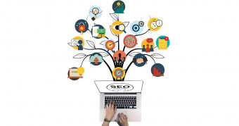 Evaluación automática SEO gratis